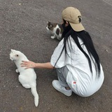 Telegram profile photo for Archive.