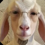 Telegram profile photo for TMP