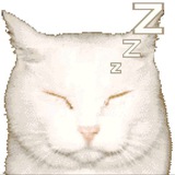 Telegram profile photo for юпсис