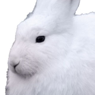Telegram profile photo for mias.mareninto