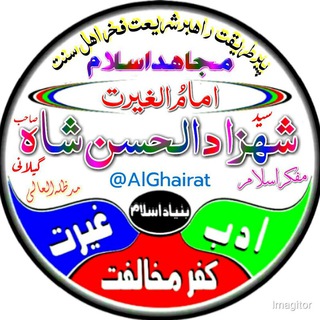 Telegram profile photo for پیر سید شہزاد الحسن شاہ صاحب گیلانی دامت برکاتہم العالیہ