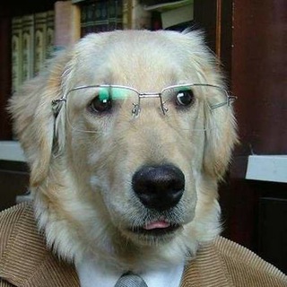 Telegram profile photo for WoofBroker WBK portal