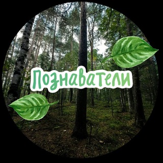 Telegram profile photo for Дневник Познавателя