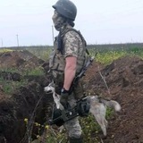 Telegram profile photo for НОВИНИ УКРАЇНА 24/7
