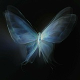 Telegram profile photo for YourParadiseMusic
