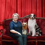 Telegram profile photo for Питомник "Beautiful Life" www.silky-life.ru