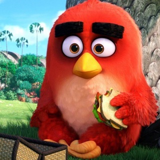 Telegram profile photo for Angry Birds Reviews