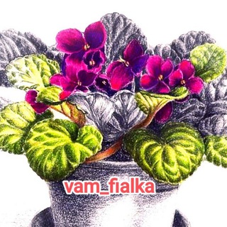 Telegram group profile photo for Фиалки и общение🌸