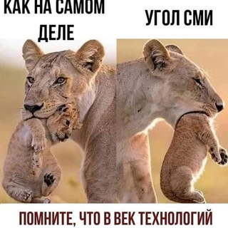 Telegram profile photo for Нерусский РУССКИЙ