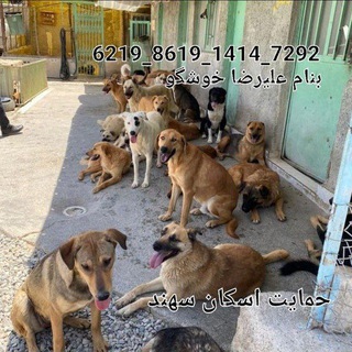 Telegram profile photo for کمک به تجهیز اسکان سهند
