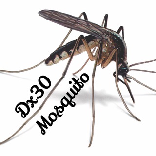 Telegram profile photo for |Dx30| Mosquito Likes