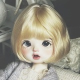 Telegram profile photo for Dump Camelia @Fsieren