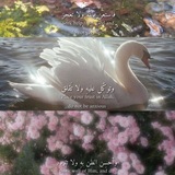 Telegram profile photo for بـَيـنَ قـلْـبـيـن♡ ℬℯ𝒾𝓃 𝒬𝒶𝓁𝒷ℯ𝒾𝓃