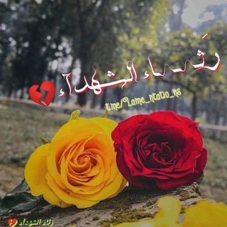 Telegram profile photo for رٰثہٰٰآء آلشِٰہٰٰھہدُآء💔