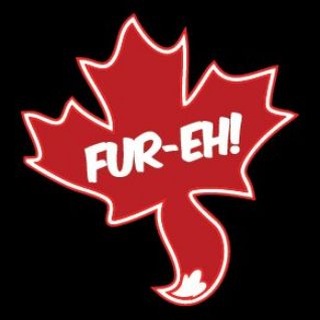 Telegram profile photo for Fur-Eh! 2027: Furballs