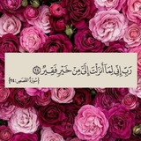 Telegram profile photo for عِلْمٌ يُنْتَفَعُ بِهِ📚🌸