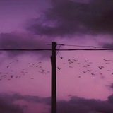 Telegram profile photo for Отзывы