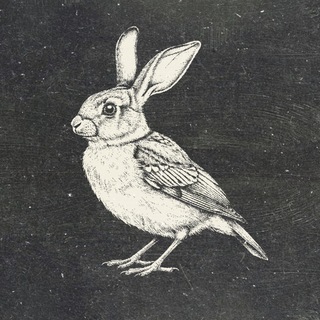 Telegram profile photo for Finn's Bunny Sparrow