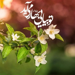 Telegram group profile photo for معرفت وآرامش