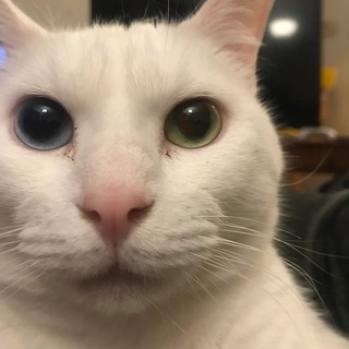 Telegram profile photo for Доброе Утро