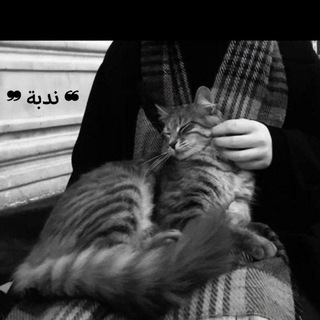 Telegram profile photo for ❝ ندبة ❞