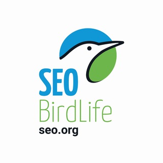 Telegram profile photo for SEO/BirdLife Doñana