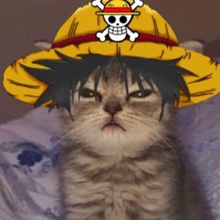 Telegram profile photo for Jeiner Ps vita
