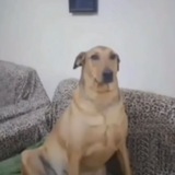 Telegram profile photo for акруизная