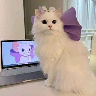 Telegram profile photo for 𝗙𝗜𝗢𝗡𝗞𝗔𝗬𝗔 .