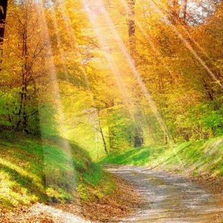 Telegram profile photo for Вдохновение, заряд энергией, мотивацией и позитива!🌈❤️🌱🌷🕊🙌🤗