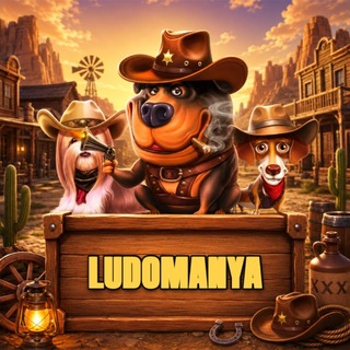 Telegram profile photo for Чат общения казино