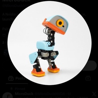 Telegram profile photo for MicroDuck CTO