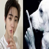 Telegram profile photo for park sunghoon.