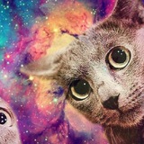 Telegram profile photo for МАКАРОЖКЕ В ТОНЕЛЛЯХ👽