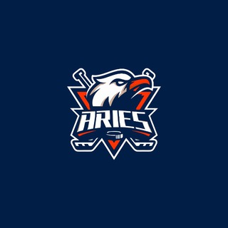Telegram profile photo for A R I E S Z N 🦅