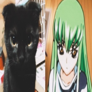 Telegram profile photo for переходник