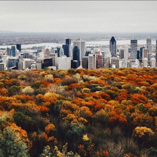 Telegram profile photo for Montréal Daily
