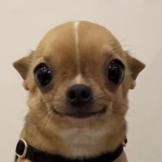 Telegram profile photo for нен я