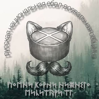 Telegram profile photo for Виманошная