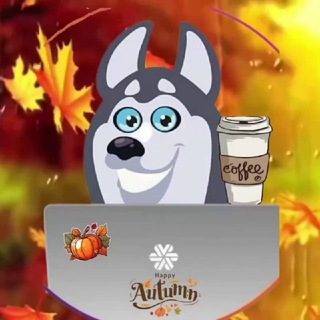Telegram profile photo for SW_Kaliningrad_LIVESTORE