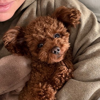 Telegram profile photo for Сладкая Ватрушка
