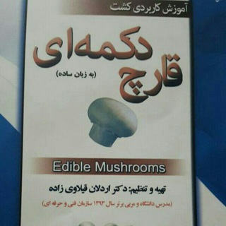 Telegram profile photo for 🍄قارچ دکمه ای🍄