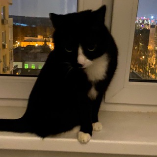 Telegram profile photo for Пусть будет так