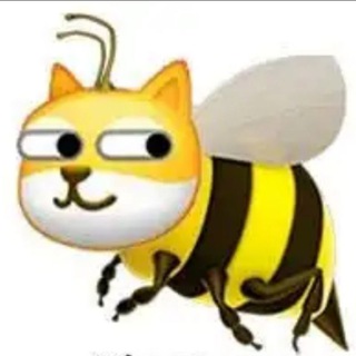 Telegram profile photo for 代理软件仓库