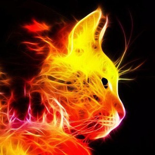 Telegram profile photo for RB BTC