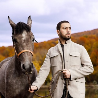 Telegram profile photo for Namiq Qaraçuxurlu