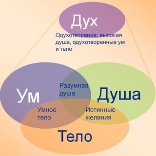Telegram profile photo for Психолог Нукус