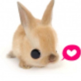 Telegram profile photo for 🫘 𝙀𝘿ерптені приколи