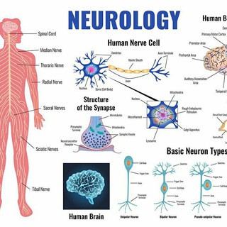 Telegram profile photo for Neurocare