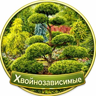 Telegram profile photo for Питомник «Хвойнозависимые»